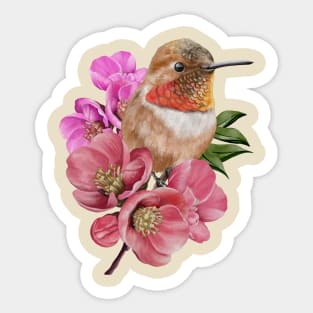 Humming bird with Sakura flowers Sticker